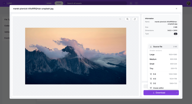 Screenshot 2026-06-11 at 11.36.52