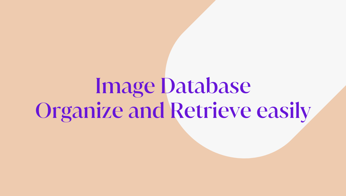 Why do you need an image database in 2024?